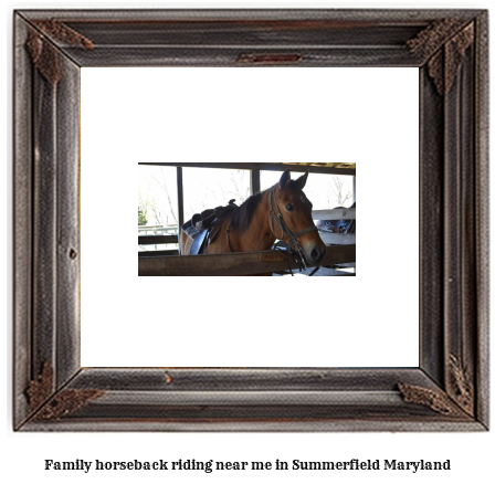 family horseback riding near me in Summerfield, Maryland